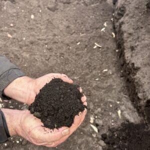Premium Garden Mix