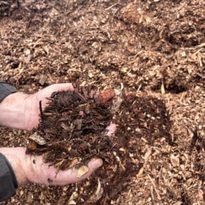 Leaf Mulch