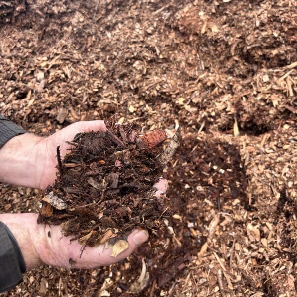 Leaf Mulch
