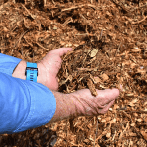 Leaf Mulch