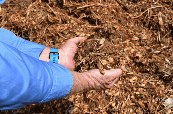 Leaf Mulch