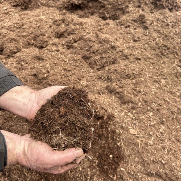 Eucalyptus Mulch