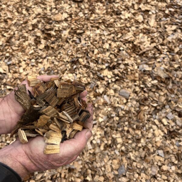 Pine Chip