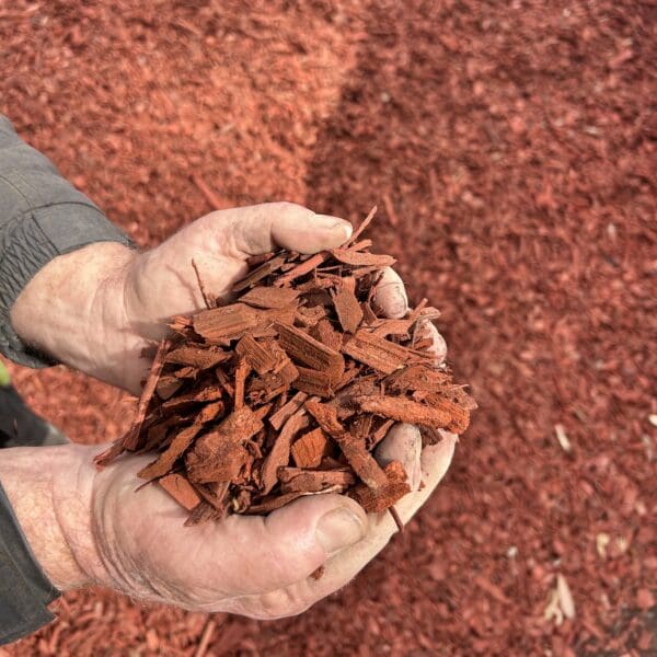Redwood Chip