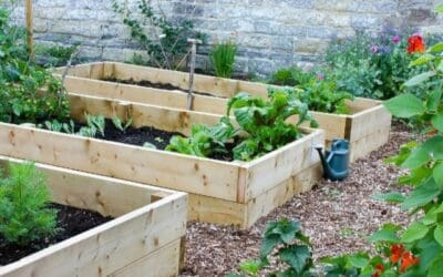 Getting ready for Growing Season