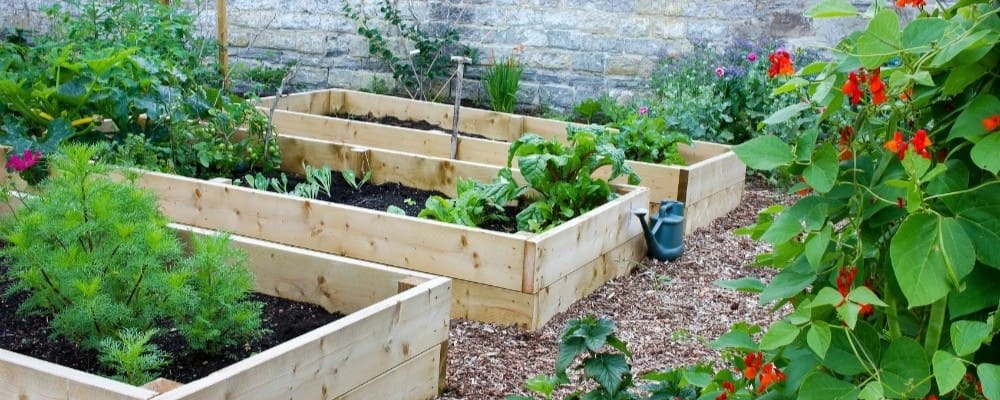 Vege Garden